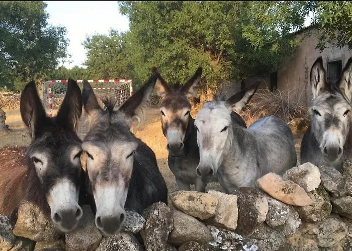 Atico Piron Adrada de Piron