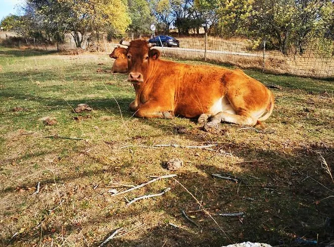 Atico Piron Apartment